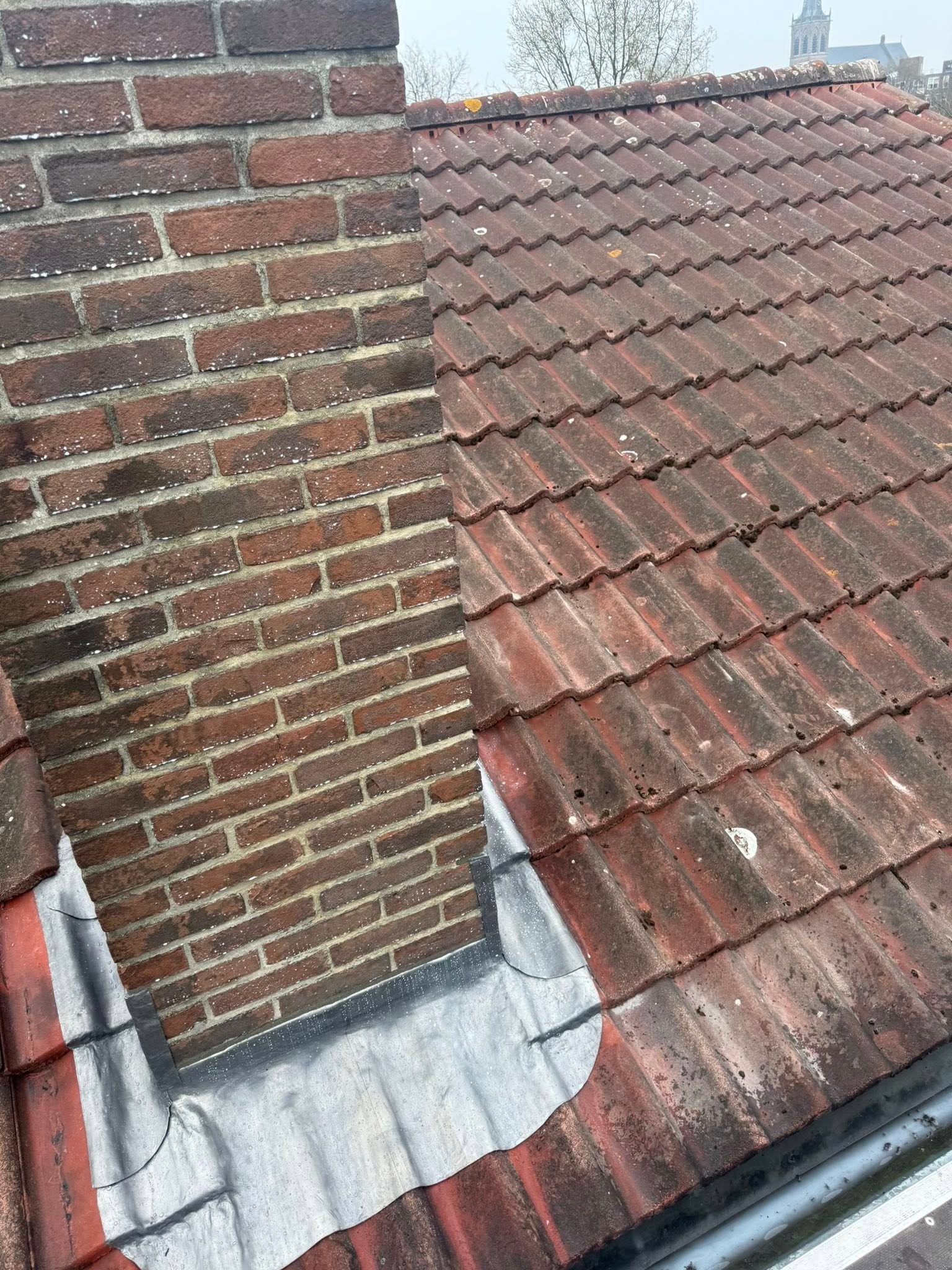 504832745_729828860001077_1426033368696299220_n.jpg
