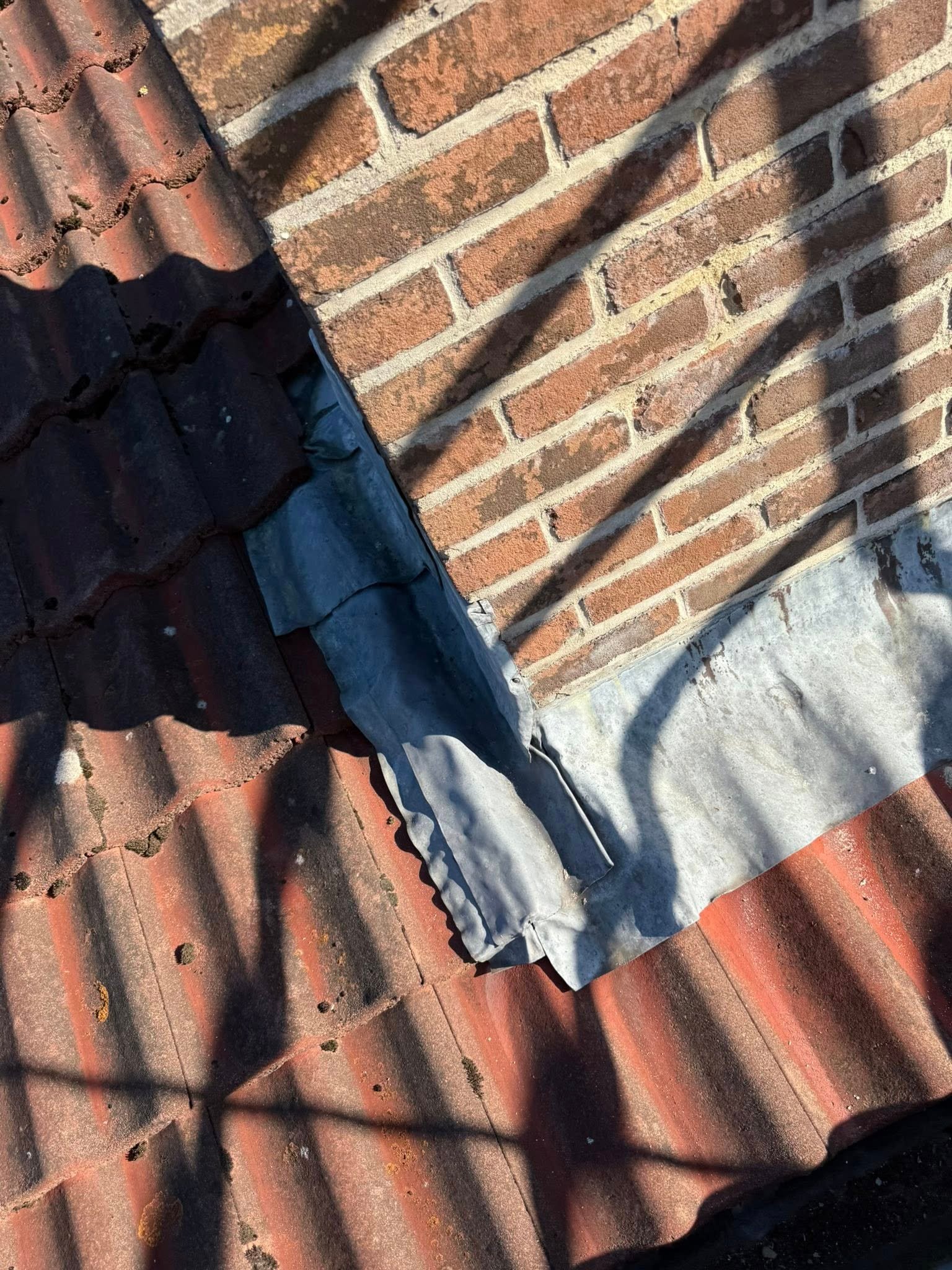 505413093_729828893334407_5743607641471261142_n.jpg